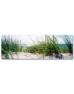 Clear Summer Day Printed Canvas 158x53cm