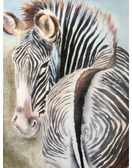Zebra canvas